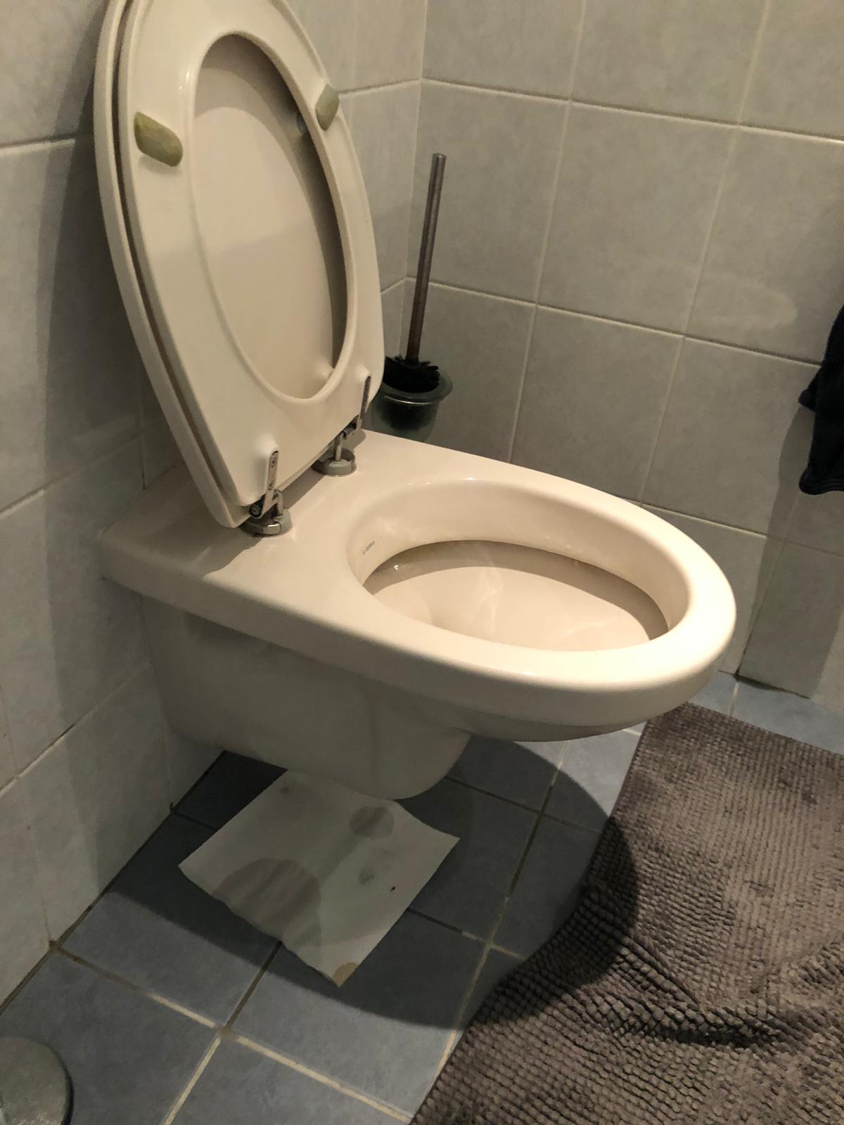 hangtoilet Veenendaal